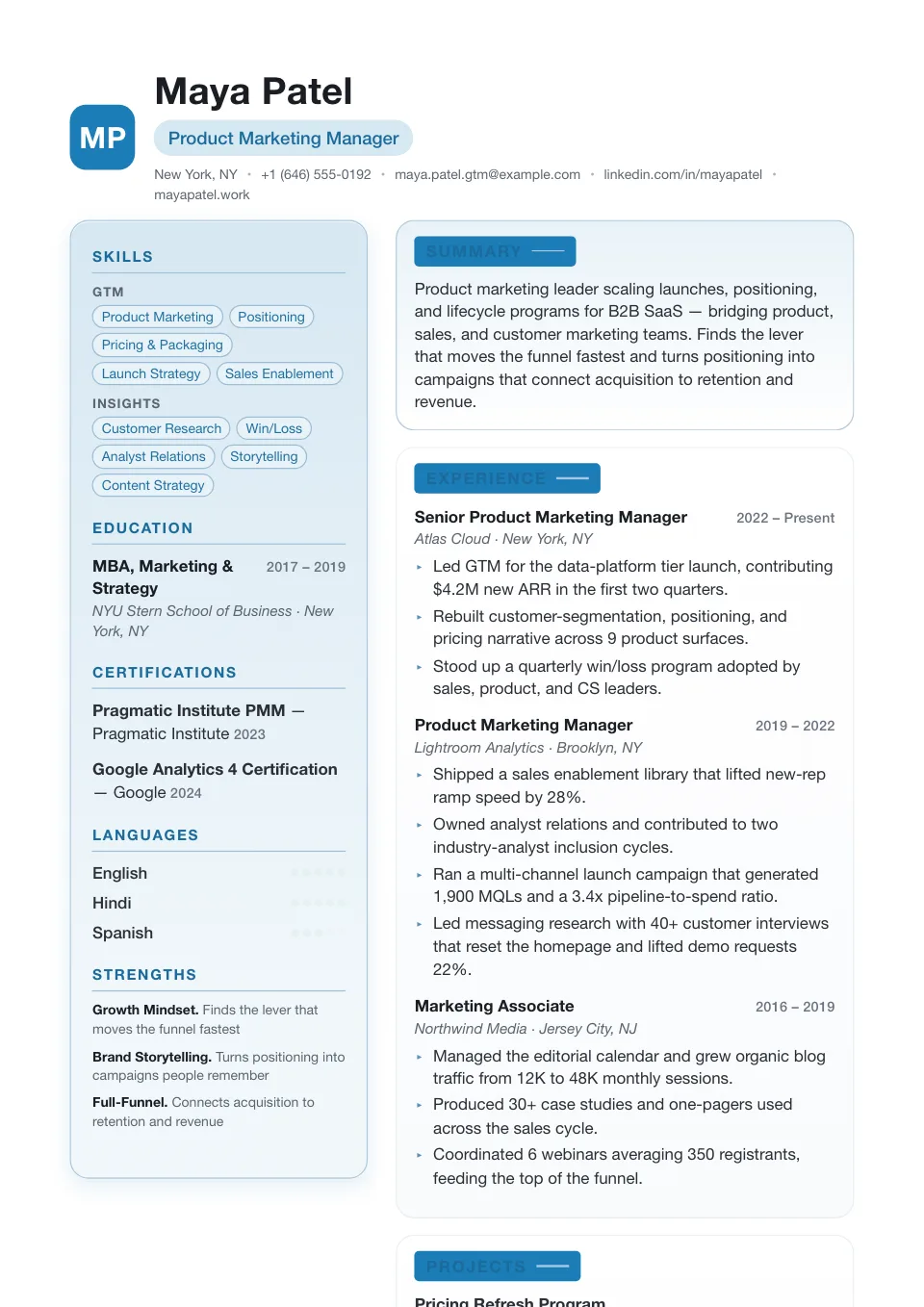 stylish resume template preview